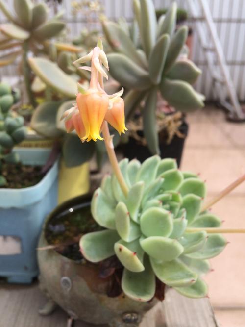 һ980!֣ݾһСթƭŻ